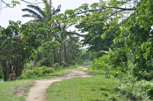 La isla flufial mas grande del mundo: Majuli Island