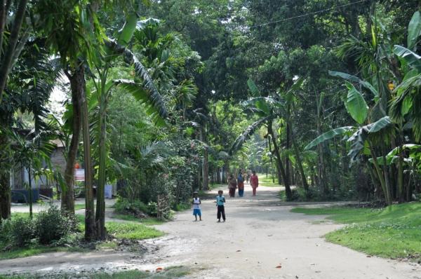 La isla flufial mas grande del mundo: Majuli Island