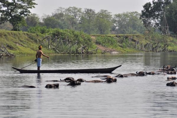 La isla fluvial mas grande del mundo: Majuli Island