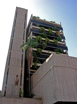 ACTUAR POLÍTICAMENTE