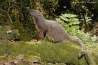 Biodiversidad en Málaga