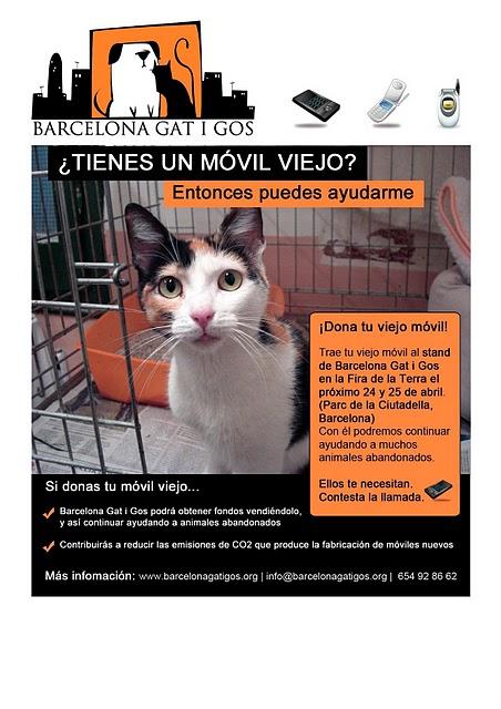 Dona tu móvil viejo a los gatitos de Barcelona