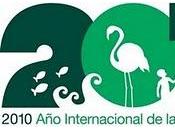 Internacional Biodiversidad:Dian Fossey ejemplo seguir