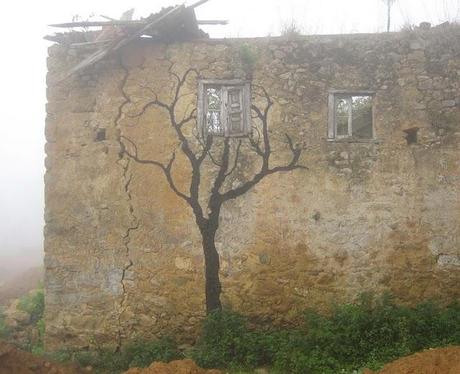 Serenata (seguimiento)