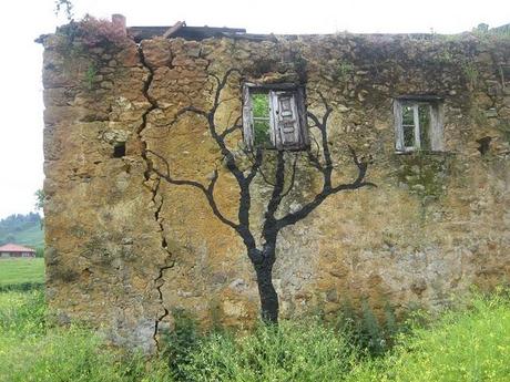 Serenata (seguimiento)