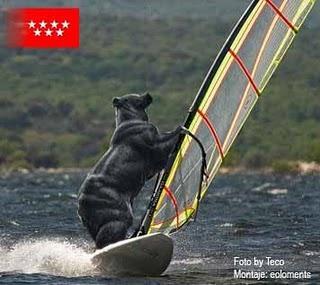 Formula Windsurf copa de Madrid en Valmayor Formula Windsurf copa de Madrid en Valmayor