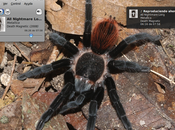 Escritorios semana 2010