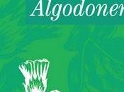 Campo Algodonero: Análisis propuestas para seguimiento sentencia CoIDH contra Edo. mexicano Mesa Mujeres CLADEM 2010