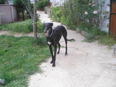 Ninette, la fuerza del destino (Galga, Cáceres)