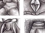 Carnes imploran aceptacion comprension