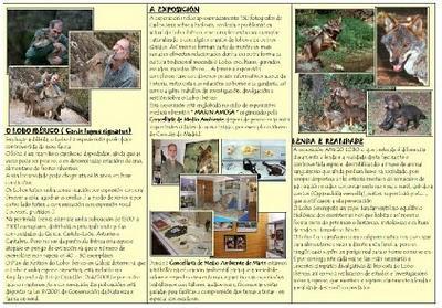 Más jornadas loberas