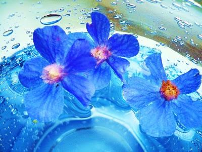 !No te Duermas sin un Cuento!