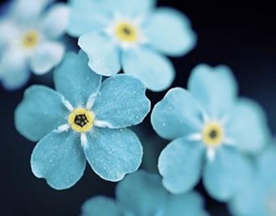 !No te Duermas sin un Cuento!