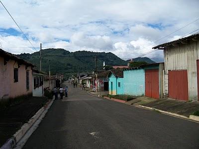 La ruta de las flores