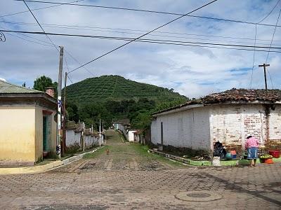 La ruta de las flores