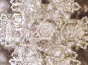 Mudanzas substanciales