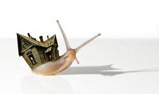 Movimiento “slow home”