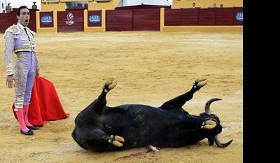 Las corridas de toros: inmorales, desfasadas e inhumanas.