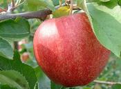 intensidad cada instante