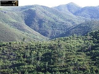 Invertir y proteger.