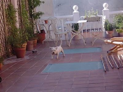 ATC: blanco + vintage