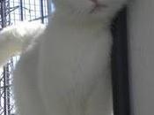 BLANKA esta esperando, mirale cara...