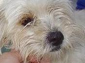 ANNE esta esperando, ella!!