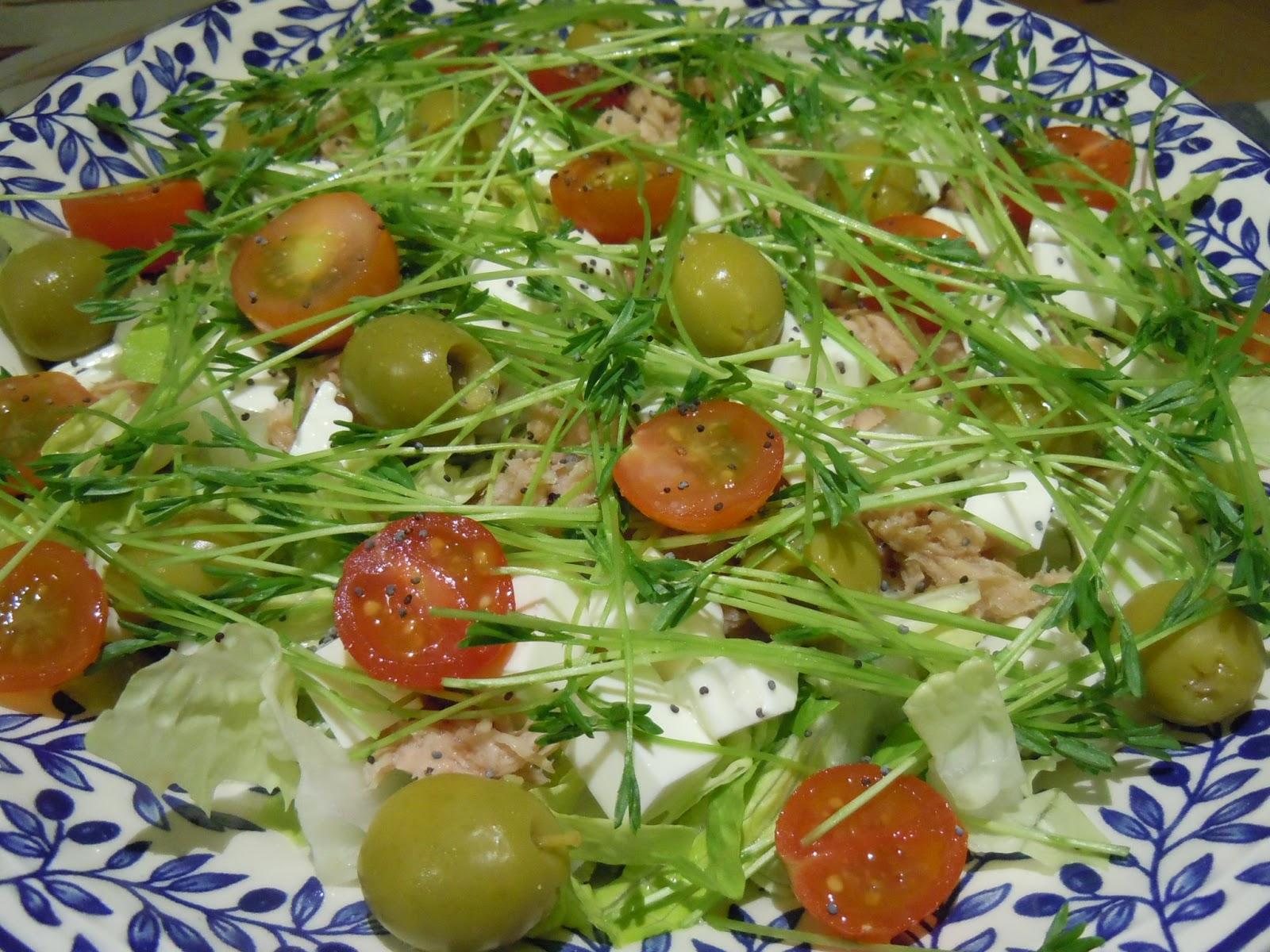 Ensalada con Brotes de lentejas