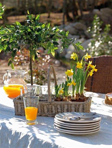 Tradición y modernidad     /      Tradition and modernity