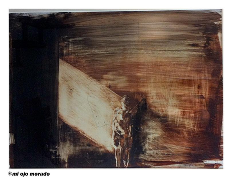 El vuelo del insecto de Cardesin