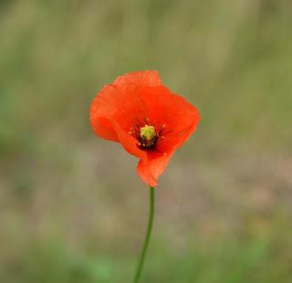 ¡Vuelvo a la carga!