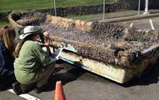 bote del tsunami japonés varado en California bote del tsunami japonés varado en California