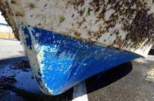 bote del tsunami japonés varado en California bote del tsunami japonés varado en California