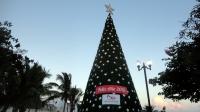 Arbol de Navidad de Playa del Carmen