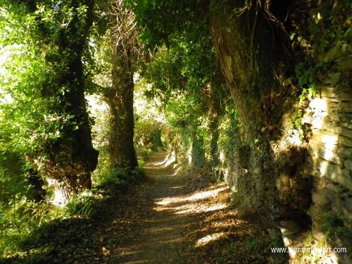 Samos: venturas y desventuras del Camino de Santiago