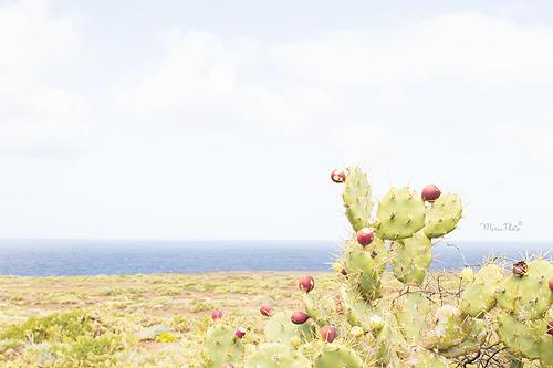 Dos descubrimientos.....