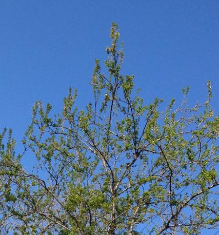 EN LA PRESENTACIÓN DE LA COLECCIÓN DE PRIMAVERA CK ONE OCEAN SHEER COLORS EN LA PRESENTACIÓN DE LA COLECCIÓN DE PRIMAVERA CK ONE OCEAN SHEER COLORS