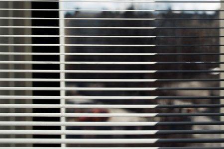 techos altos decoración suelo de parquet de roble espigado puerta corredera decoración productos de diseño piso nórdico diáfano muebles de diseño diseño de interiores decoración nórdica decoración de interiores Bulthaup y Gaggenau blog decoración 