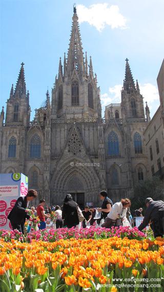 Blog catedral_1