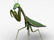 Advertir quien quiere escuchar