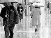 Días Lluviosos …¿Qué hago?