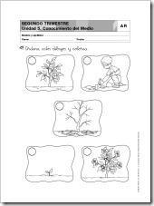Actividades refuerzo 2_Página_15 Ciencias para primer grado