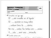 Lengua para primer grado: Refuerzo