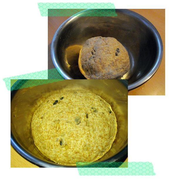 Pan de molde integral con frutos secos