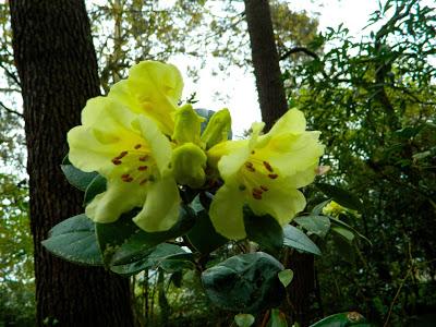 ¡Adoriamo L'Italia! (Parte I)