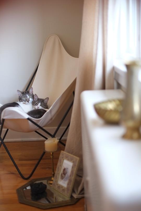 Entre lino y algodón