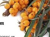 Maquillaje Total nueva tienda belleza