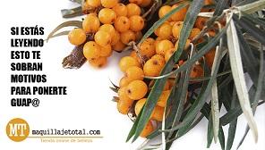 Maquillaje Total – mi nueva tienda de belleza