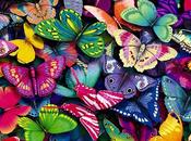 Butterflies clothes