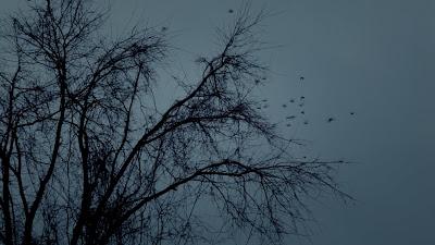 The Taking nuevas turbadoras imágenes